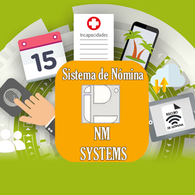 NM SYSTEMS